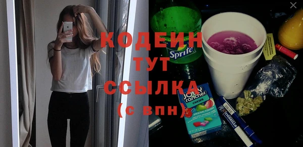 хмурый Струнино