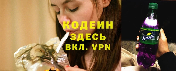 хмурый Струнино