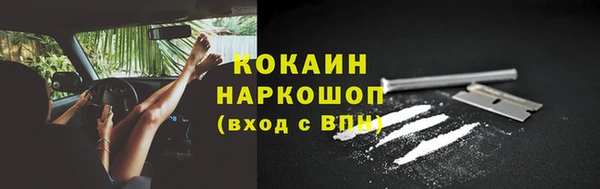 крисы Строитель