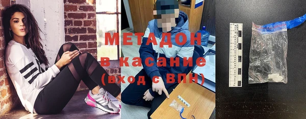 прущие грибы Верея