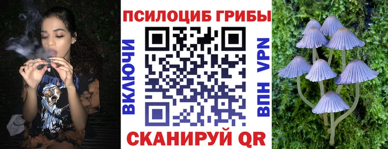 ссылка на мегу вход  наркошоп  Нальчик  Галлюциногенные грибы мицелий 