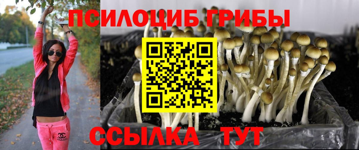 Нальчик  Галлюциногенные грибы MAGIC MUSHROOMS  как найти закладки  Вход с VPN  Псилоцибиновые грибы мицелий 